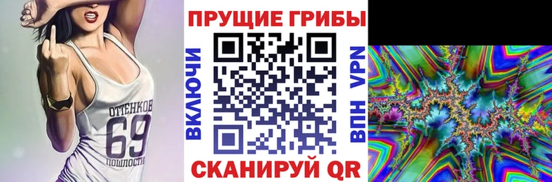 Псилоцибиновые грибы Cubensis  Мураши 